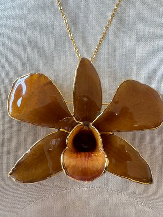 Real Preserved Orchid Brooch or Pendant - Resin and Gold Plate